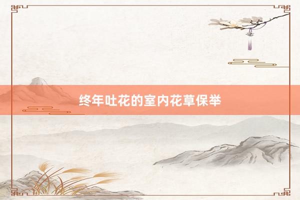 终年吐花的室内花草保举