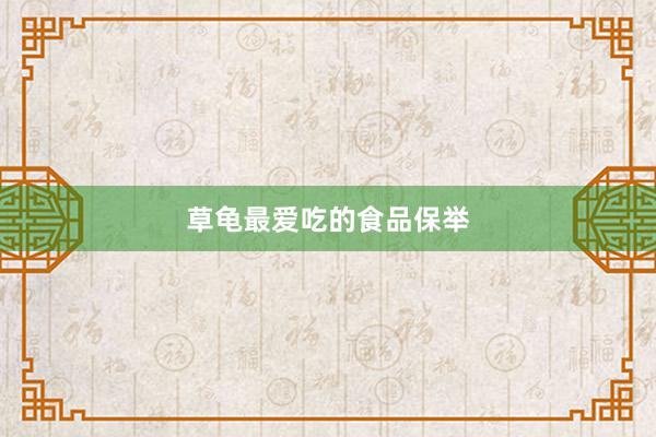 草龟最爱吃的食品保举